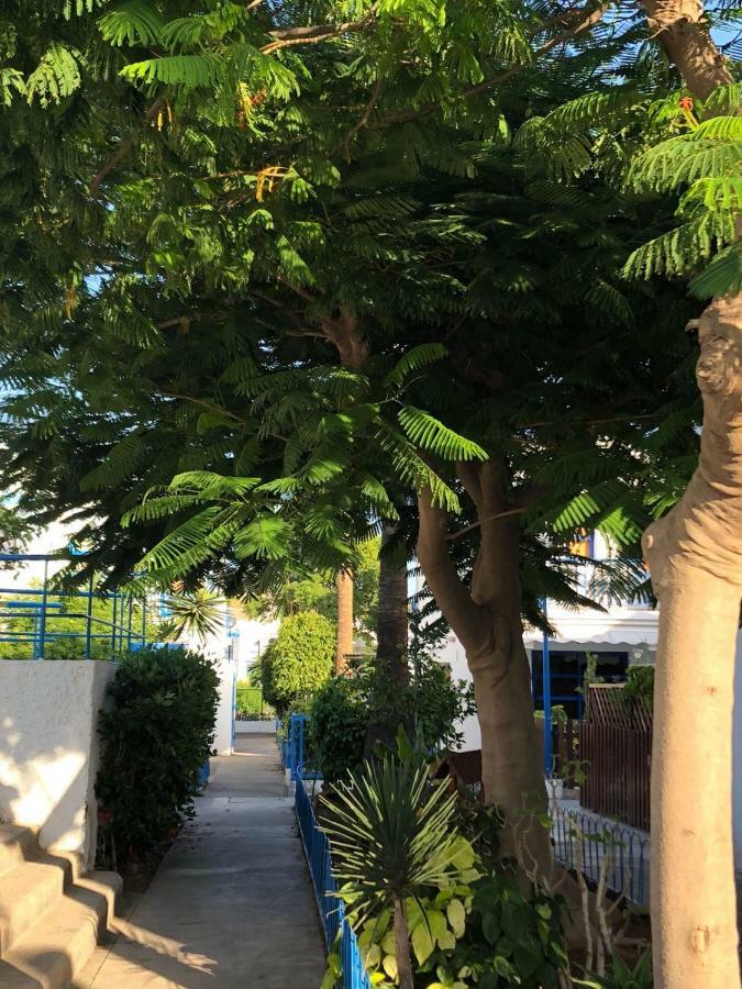 Bungalow Playmar Playa del Ingles  Bagian luar foto